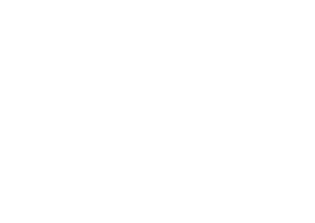 logo footer